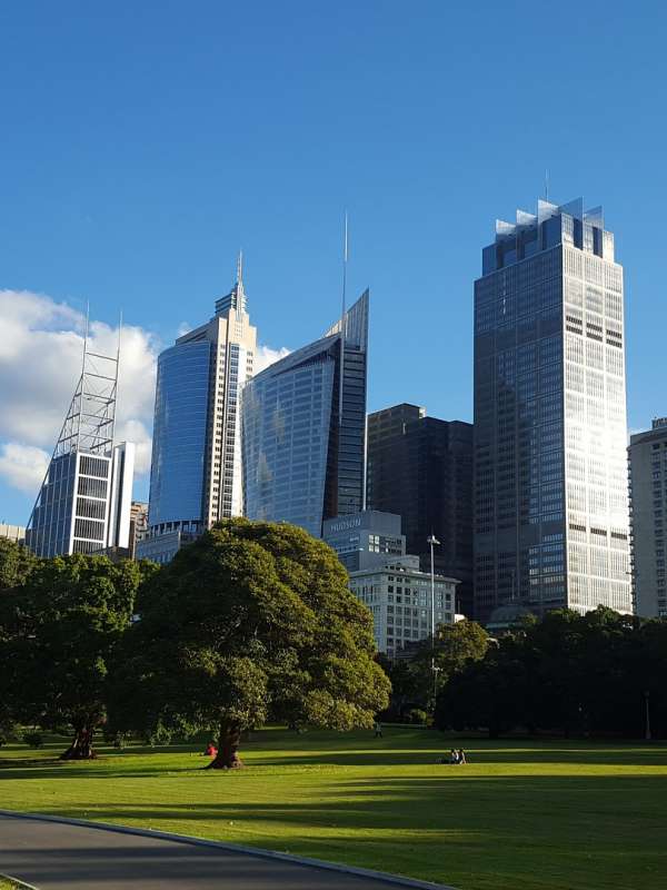 office-removals-sydney-2046717_1920